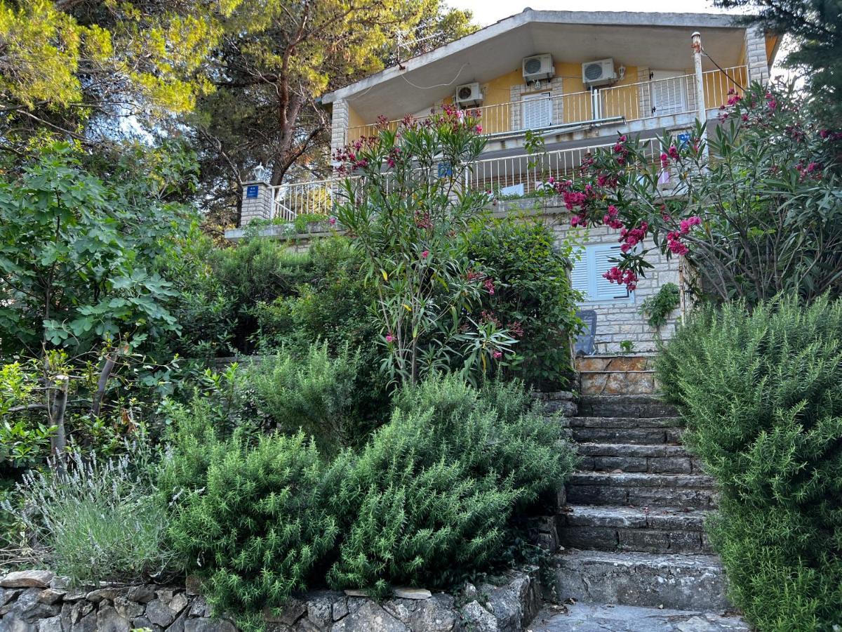 Apartmani Lidija Karin Donji Donji Karin Exterior foto